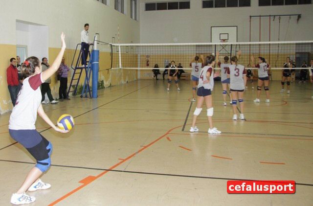 101120_Pomar 133y_tn.jpg